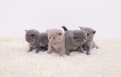 Similar image 162958