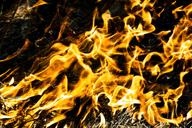 Similar image 162959