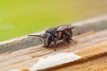 Similar image 162967