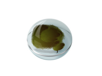 Similar image 162972