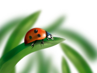 Similar image 162975