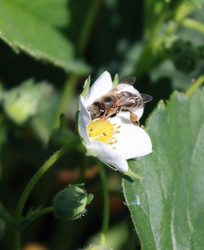 Similar image 162987