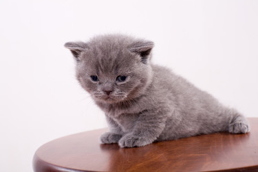 Similar image 162998