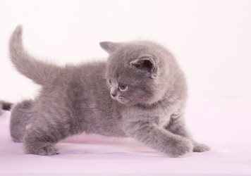 Similar image 163006