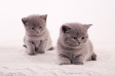 Similar image 163010