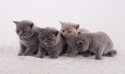 Similar image 163012