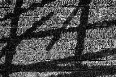 Similar image 163014