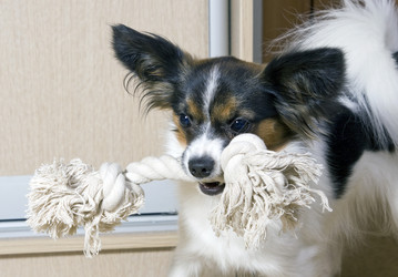 Similar image 163016