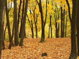 Similar image 163031