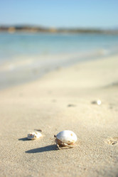 Similar image 163032