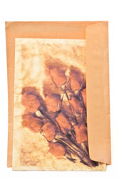 Similar image 163040