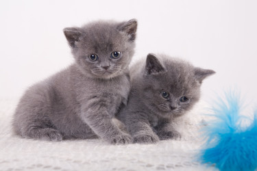 Similar image 163041