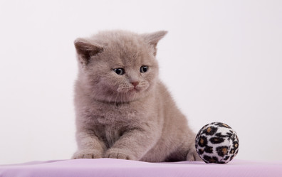 Similar image 163045