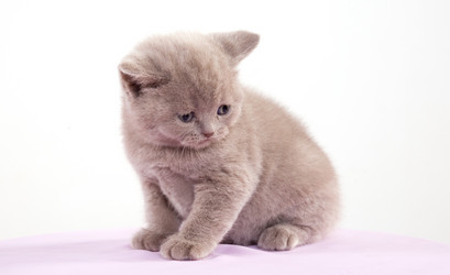 Similar image 163047