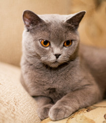 Similar image 163056