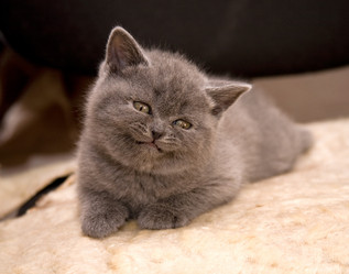 Similar image 163059