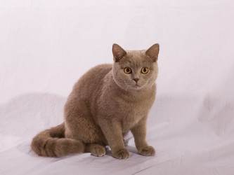 Similar image 163063