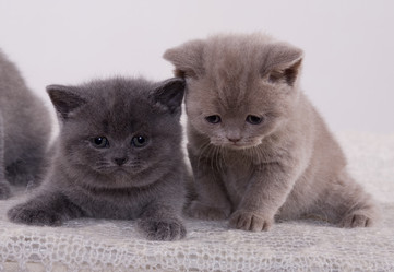 Similar image 163067