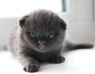 Similar image 163069