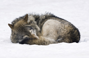 Similar image 163087