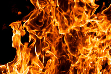 Similar image 163091