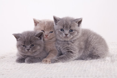 Similar image 163110