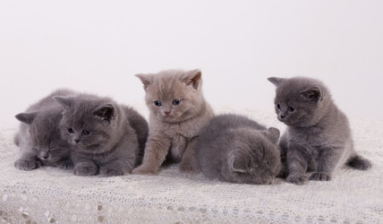 Similar image 163111