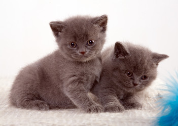 Similar image 163112