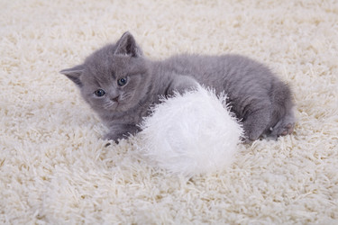 Similar image 163113