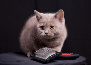 Similar image 163115