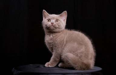 Similar image 163117