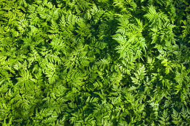 Similar image 163121