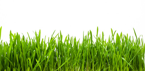 Similar image 163124