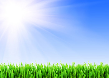 Similar image 163126