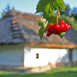 Similar image 163127