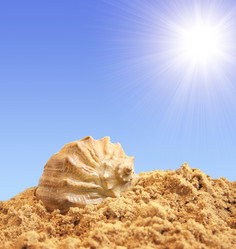 Similar image 163196