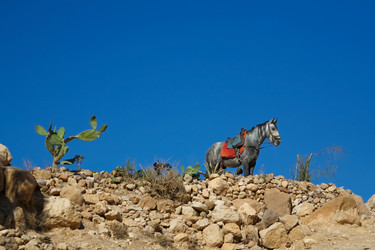 Similar image 163217