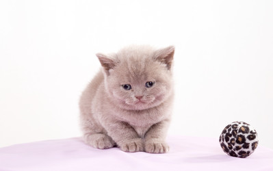 Similar image 163271