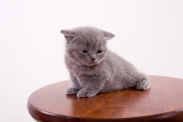 Similar image 163284