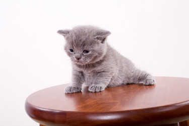 Similar image 163285