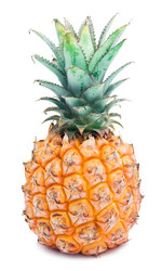 Similar image 163308