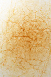 Similar image 163339