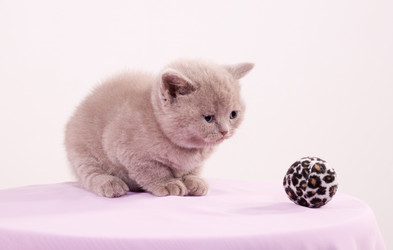 Similar image 163383