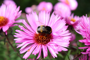 Similar image 163390