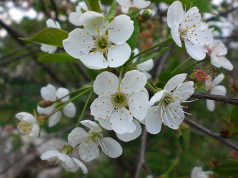 Similar image 163422