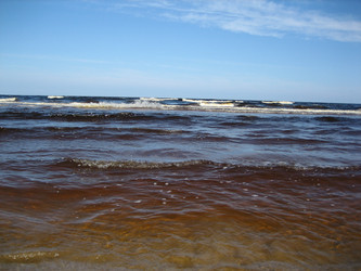 Similar image 163442