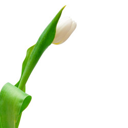 Similar image 163511