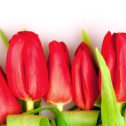 Similar image 163512