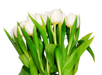 Similar image 163514