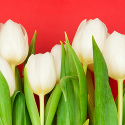 Similar image 163515